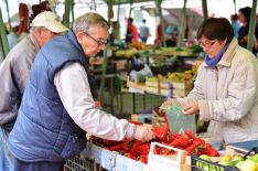 green market_palic_2